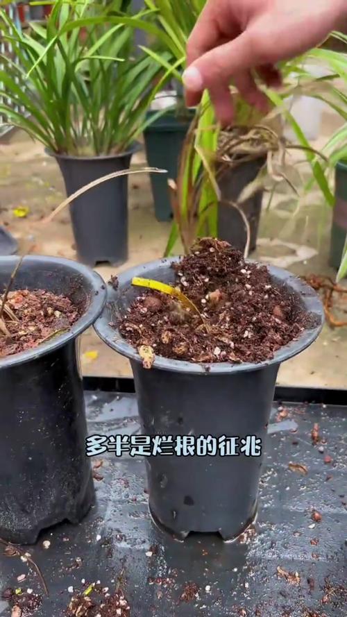 这“3样”不起眼的废料,废料小制作-第3张图片-优品飞百科 这“3样”不起眼的废料,废料小制作-第3张图片-优品飞百科