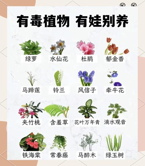 这“3样”不起眼的废料,废料小制作-第7张图片-优品飞百科 这“3样”不起眼的废料,废料小制作-第7张图片-优品飞百科