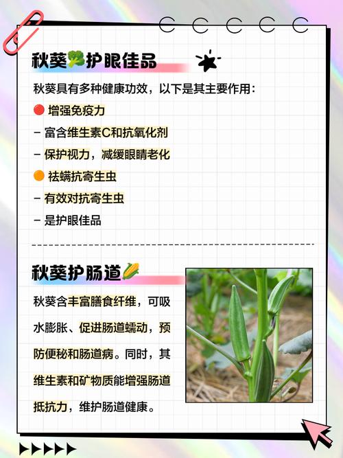 秋葵浇水要注意什么?秋葵多久浇一次水?-第2张图片-优品飞百科 秋葵浇水要注意什么?秋葵多久浇一次水?-第2张图片-优品飞百科