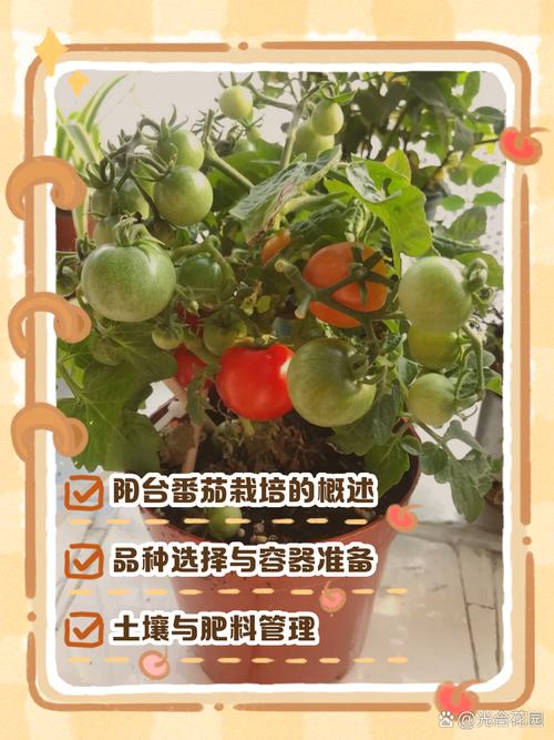 盆栽圣女果的种植方法，盆栽圣女果,怎么才能结出更多果实-第8张图片-优品飞百科