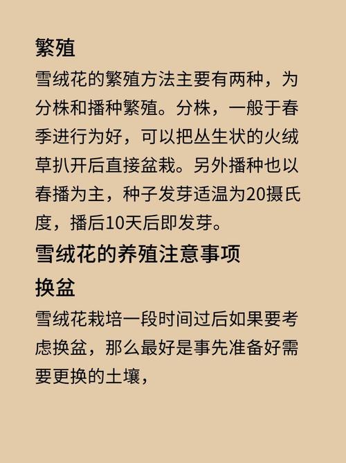 雪绒花的养殖方法和注意事项,雪绒花养殖方法及图片?-第5张图片-优品飞百科 雪绒花的养殖方法和注意事项,雪绒花养殖方法及图片?-第5张图片-优品飞百科