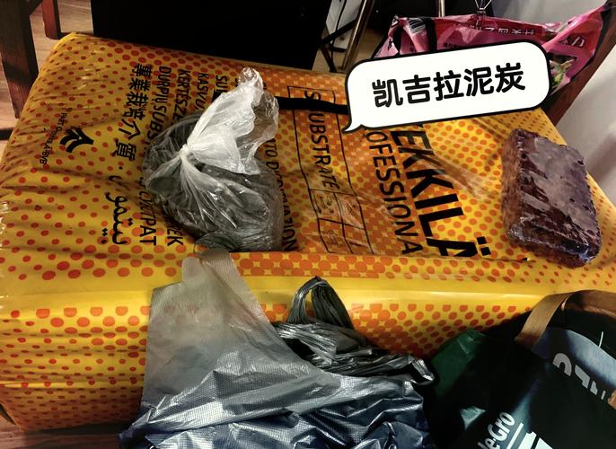 小叶绿萝可以用棕柱吗，小叶绿萝爬棕柱的图片？-第3张图片-优品飞百科
