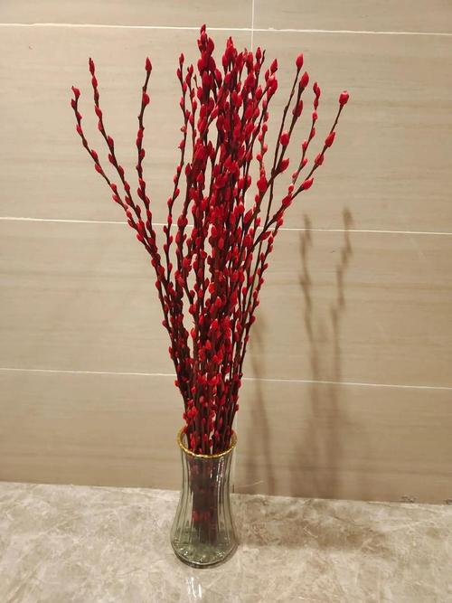 银柳花怎么养，银柳花怎么养比较好