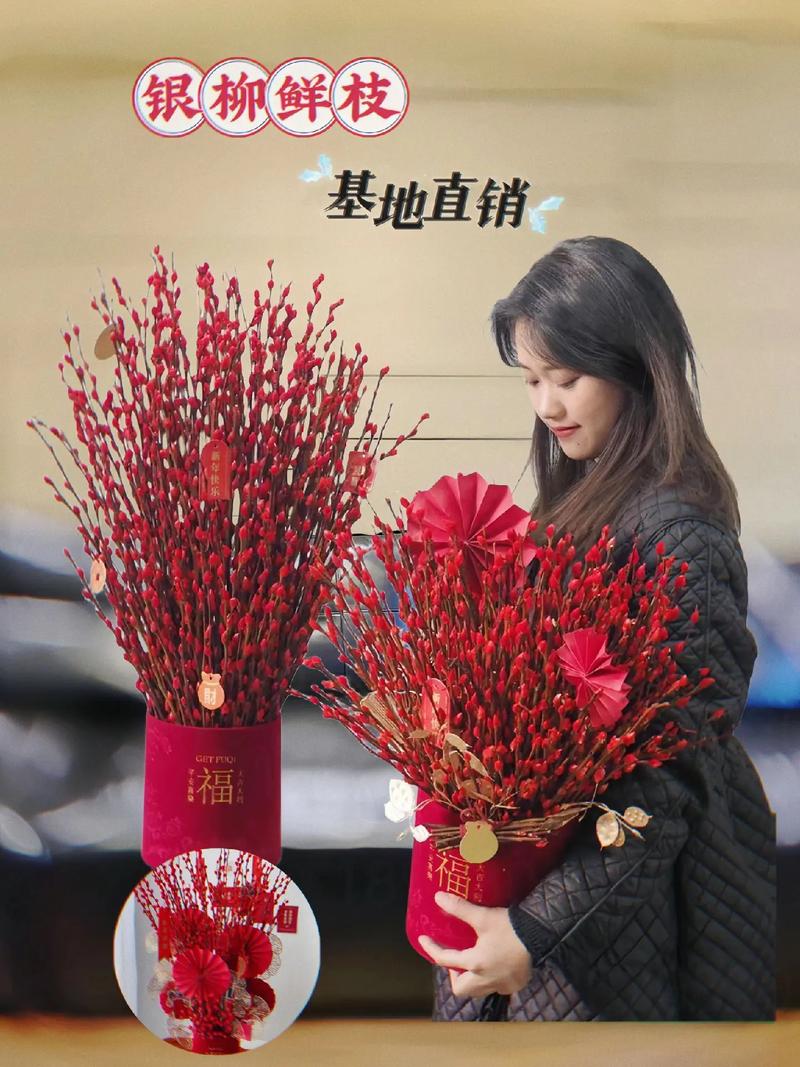 银柳花怎么养,银柳花怎么养比较好-第2张图片-优品飞百科 银柳花怎么养,银柳花怎么养比较好-第2张图片-优品飞百科