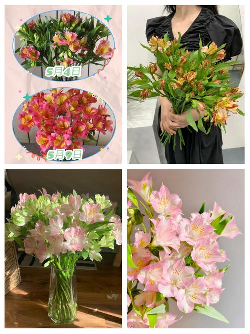 百合水仙...天热叶子全掉光？水仙百合怎么叶子发黄怎么处理？-第2张图片-优品飞百科