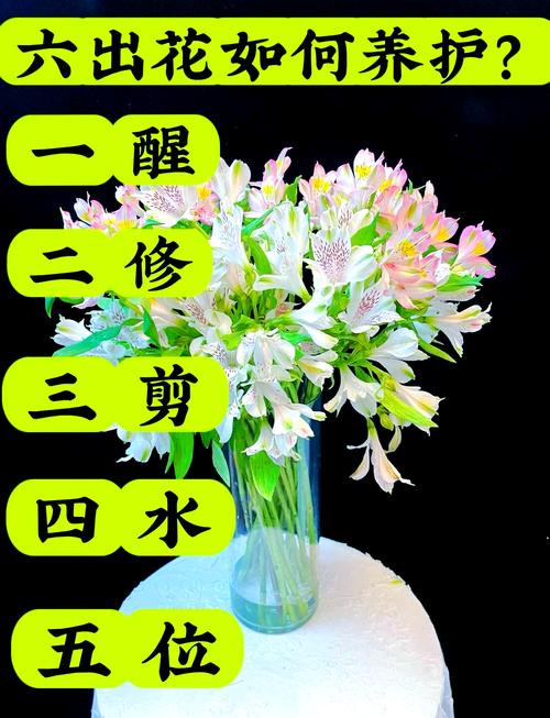 百合水仙...天热叶子全掉光？水仙百合怎么叶子发黄怎么处理？-第5张图片-优品飞百科