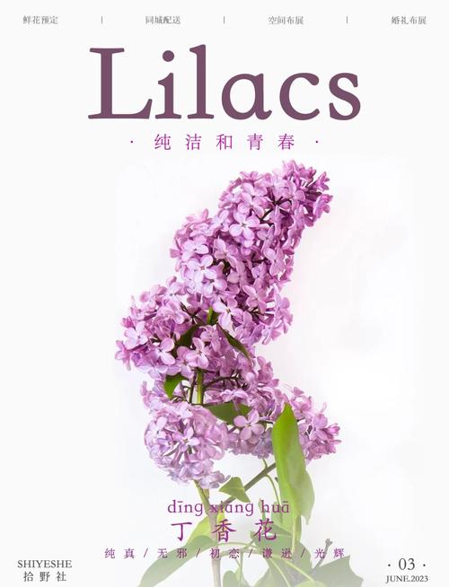 盆栽丁香花怎么过冬，盆栽丁香花怎样过冬-第1张图片-优品飞百科