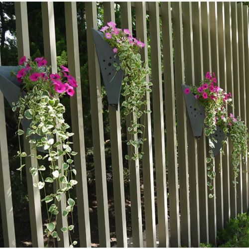 花叶蔓长春可以水培吗，花叶蔓长春怎么施肥？-第3张图片-优品飞百科