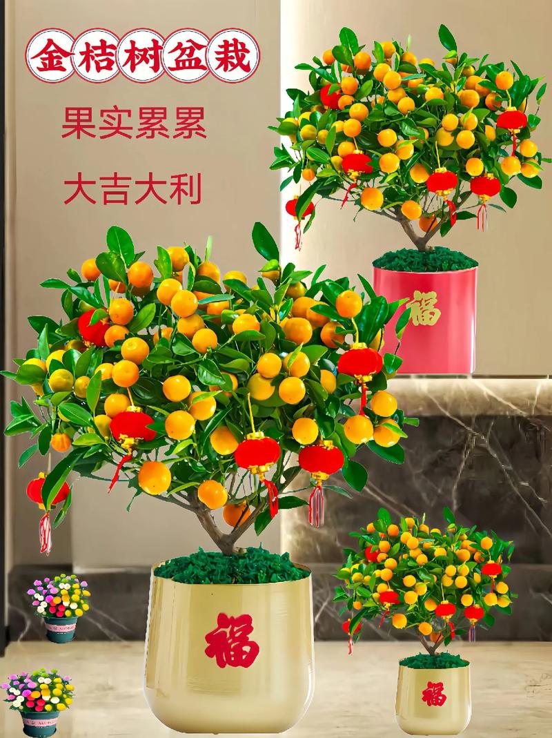 橘子怎么种植方法？橘子怎么样种植？