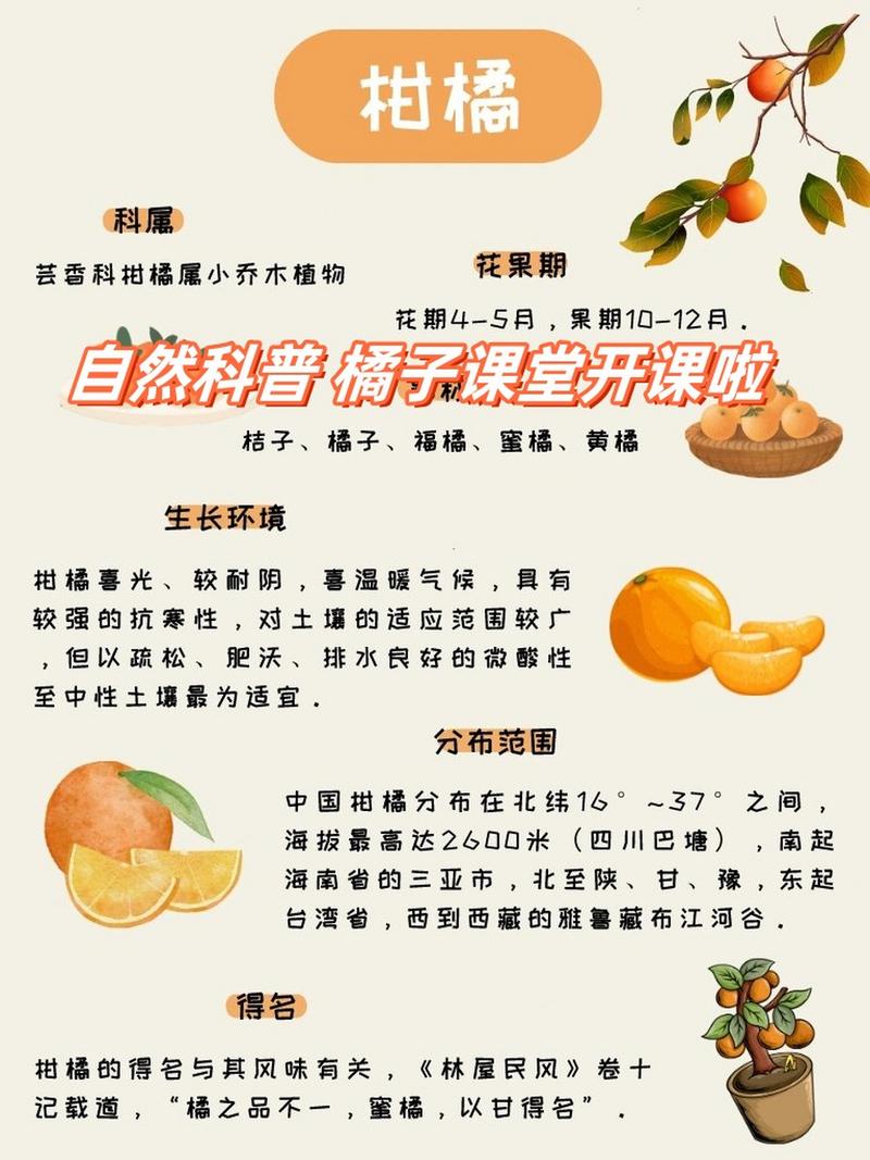 橘子怎么种植方法?橘子怎么样种植?-第3张图片-优品飞百科 橘子怎么种植方法?橘子怎么样种植?-第3张图片-优品飞百科