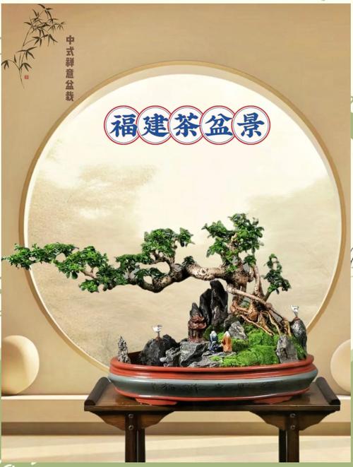 福建茶盆景多少时间浇次水，福建茶树盆景每天都要浇水-第1张图片-优品飞百科