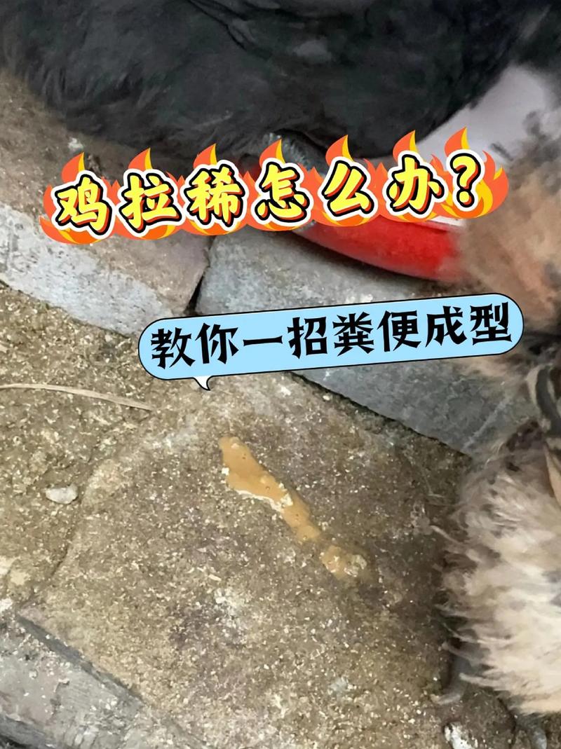 养花施肥用鸡粪是直接用吗,给花施肥用鸡粪好还是羊粪好-第3张图片-优品飞百科 养花施肥用鸡粪是直接用吗,给花施肥用鸡粪好还是羊粪好-第3张图片-优品飞百科