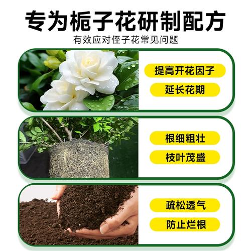 养花施肥用鸡粪是直接用吗,给花施肥用鸡粪好还是羊粪好-第7张图片-优品飞百科 养花施肥用鸡粪是直接用吗,给花施肥用鸡粪好还是羊粪好-第7张图片-优品飞百科