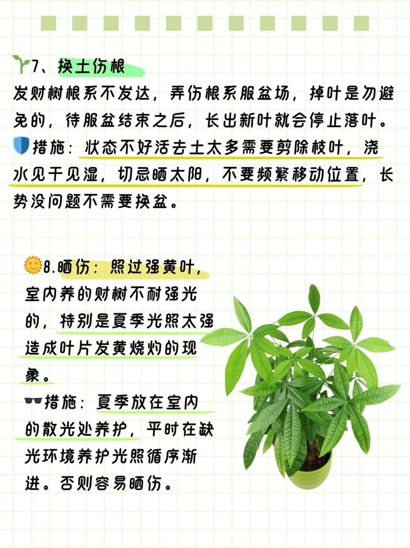 盆栽桃花叶子发黄脱落怎么办？盆栽桃花的花蔫了怎么办？-第2张图片-优品飞百科