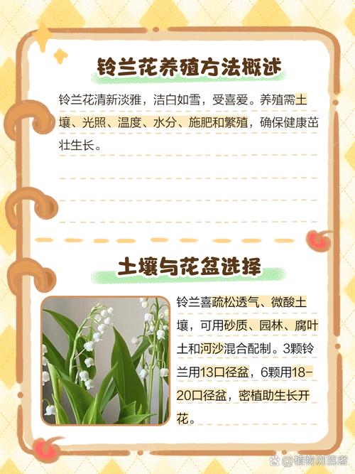 铃兰花怎么养，香水铃兰花怎么养？-第1张图片-优品飞百科