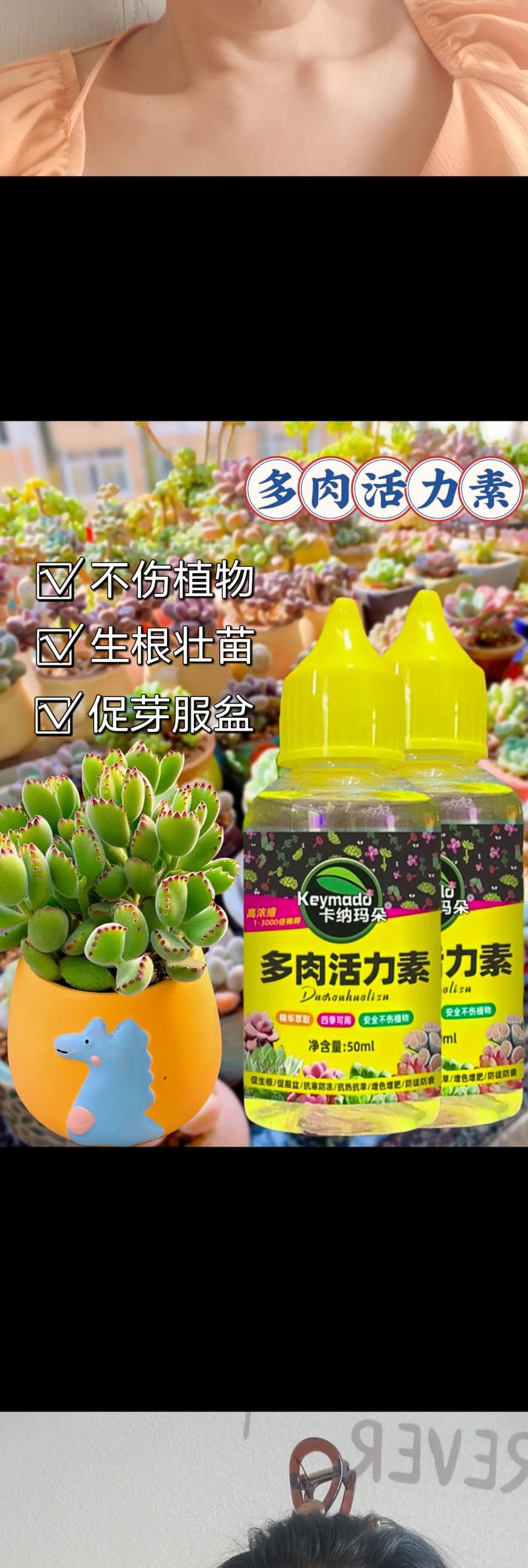 多肉营养液怎么配制?多肉植物营养液怎么配?-第3张图片-优品飞百科 多肉营养液怎么配制?多肉植物营养液怎么配?-第3张图片-优品飞百科