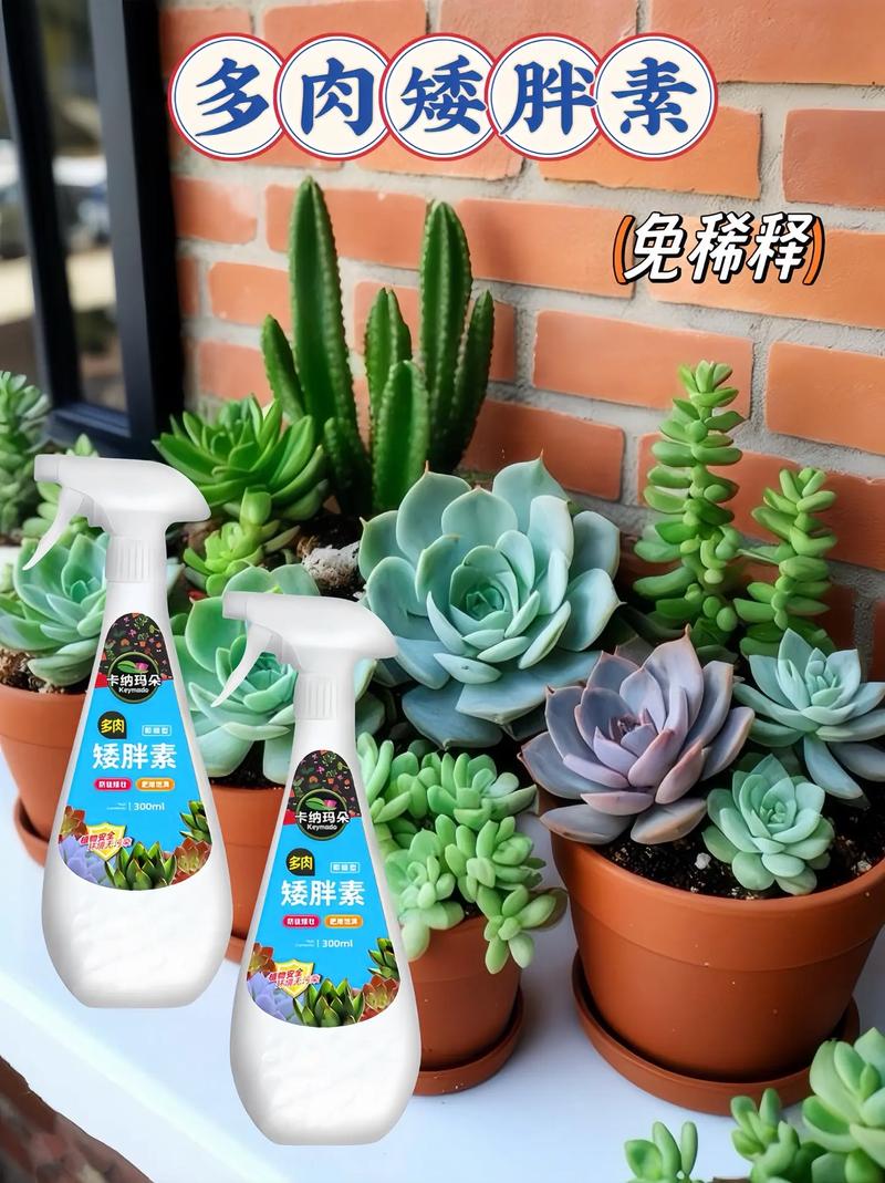 多肉营养液怎么配制?多肉植物营养液怎么配?-第7张图片-优品飞百科 多肉营养液怎么配制?多肉植物营养液怎么配?-第7张图片-优品飞百科