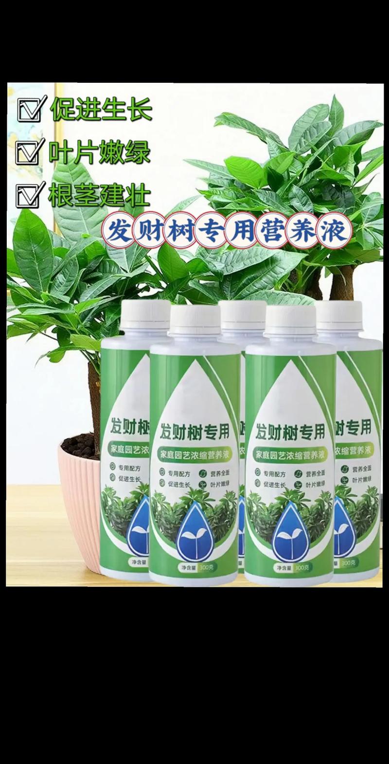 发财树用什么肥料比较好，水培发财树用什么肥料比较好？-第1张图片-优品飞百科