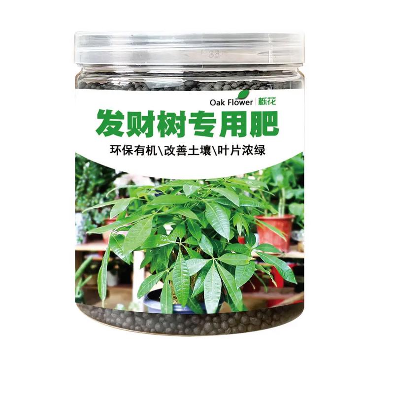 发财树用什么肥料比较好，水培发财树用什么肥料比较好？-第6张图片-优品飞百科