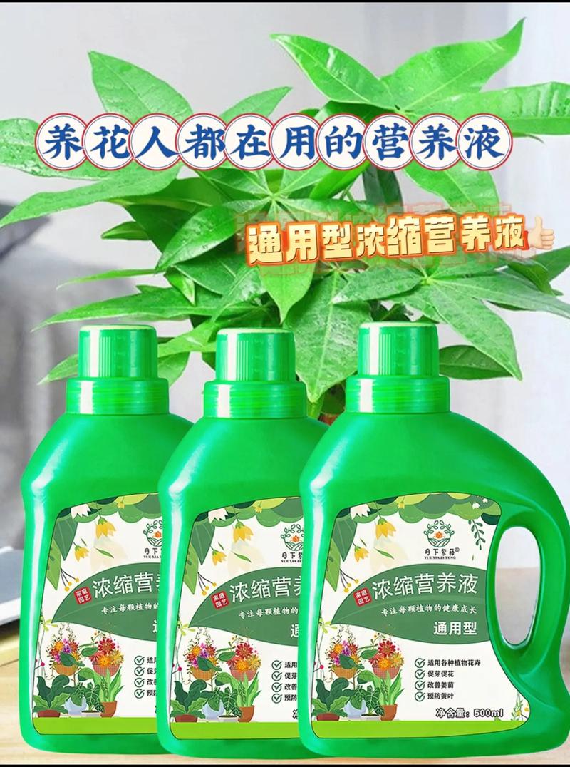 用什么可以代替营养液？用什么可以代替营养液喂猪？-第1张图片-优品飞百科