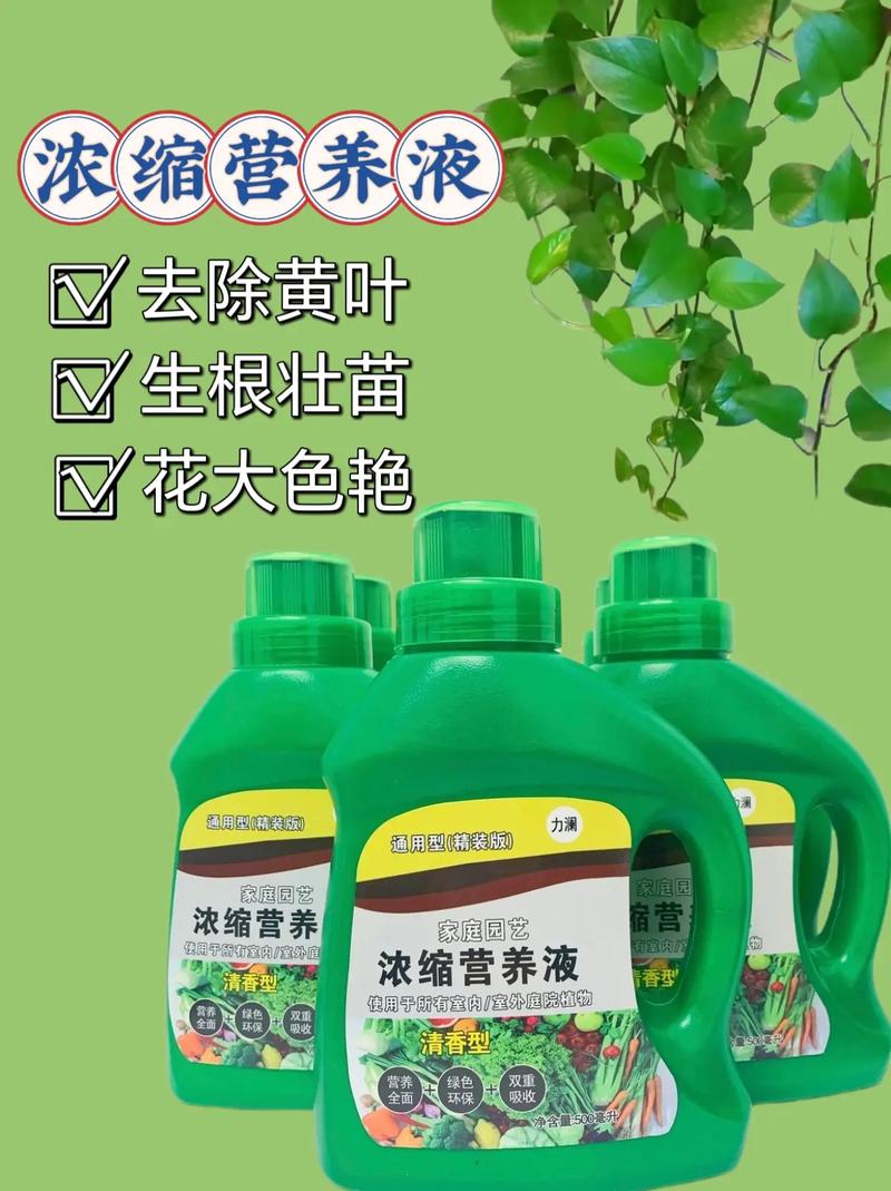 用什么可以代替营养液？用什么可以代替营养液喂猪？-第2张图片-优品飞百科