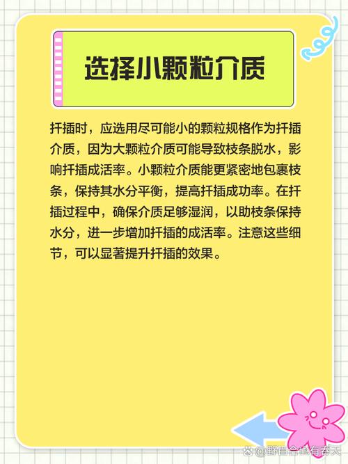 柏树扦插时间与方法，柏树什么时间扦插多长时间了能生根？-第3张图片-优品飞百科