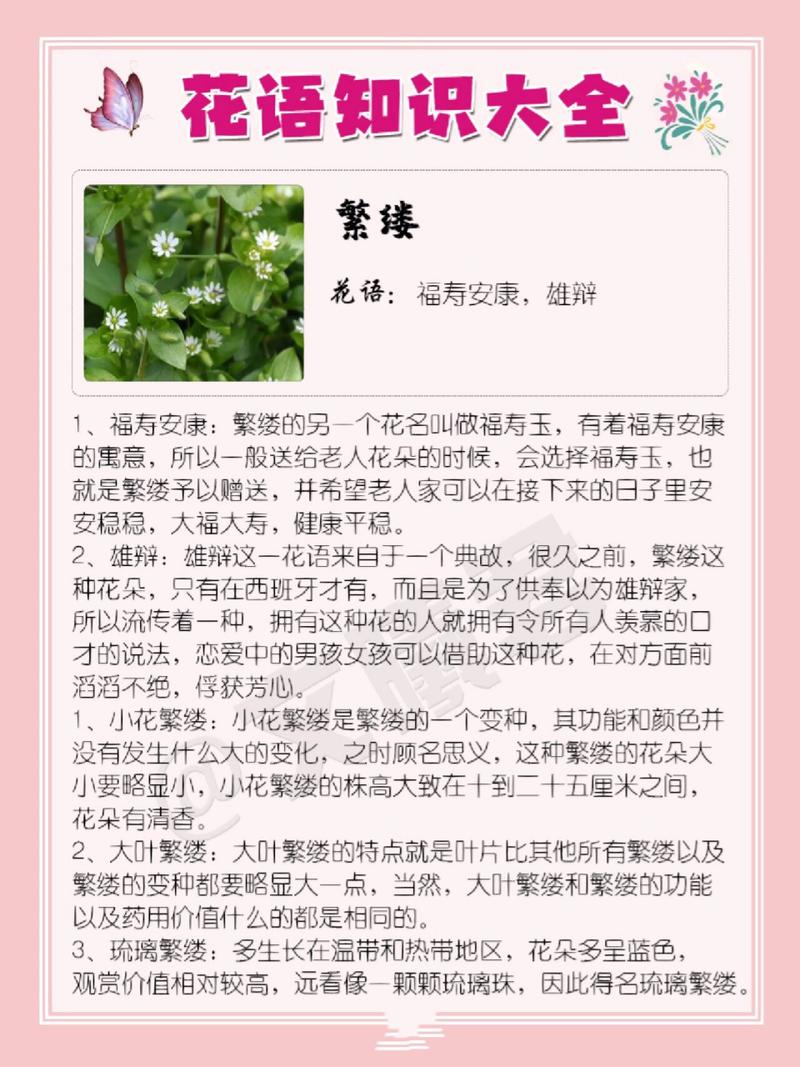 繁缕的养殖方法?繁缕用什么药效果比较好?-第7张图片-优品飞百科 繁缕的养殖方法?繁缕用什么药效果比较好?-第7张图片-优品飞百科