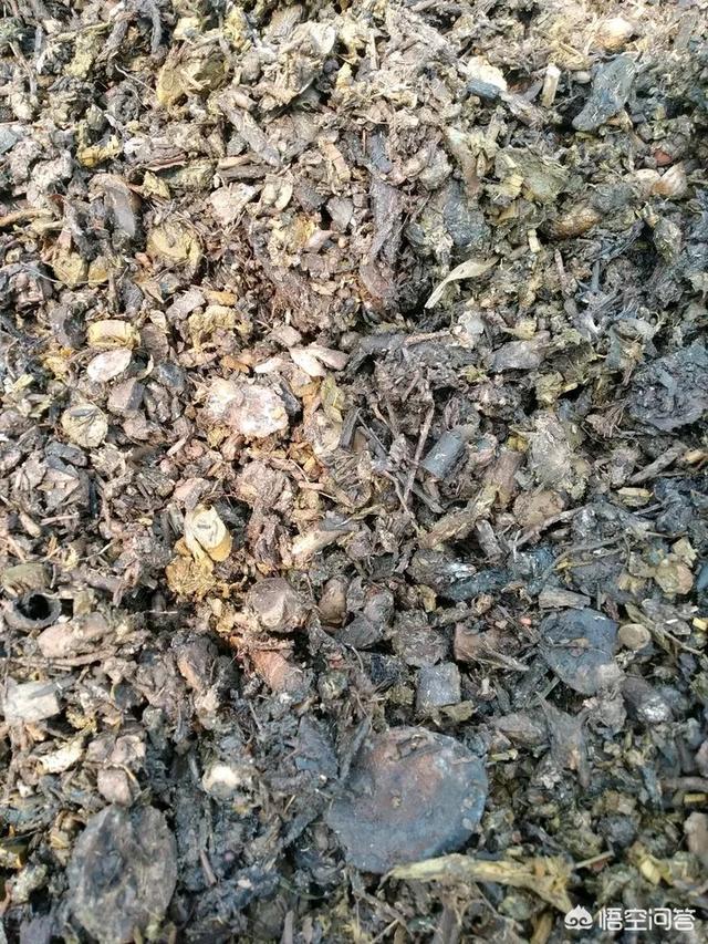 木头渣子竟是养花宝贝，木头渣子的用途-第1张图片-优品飞百科