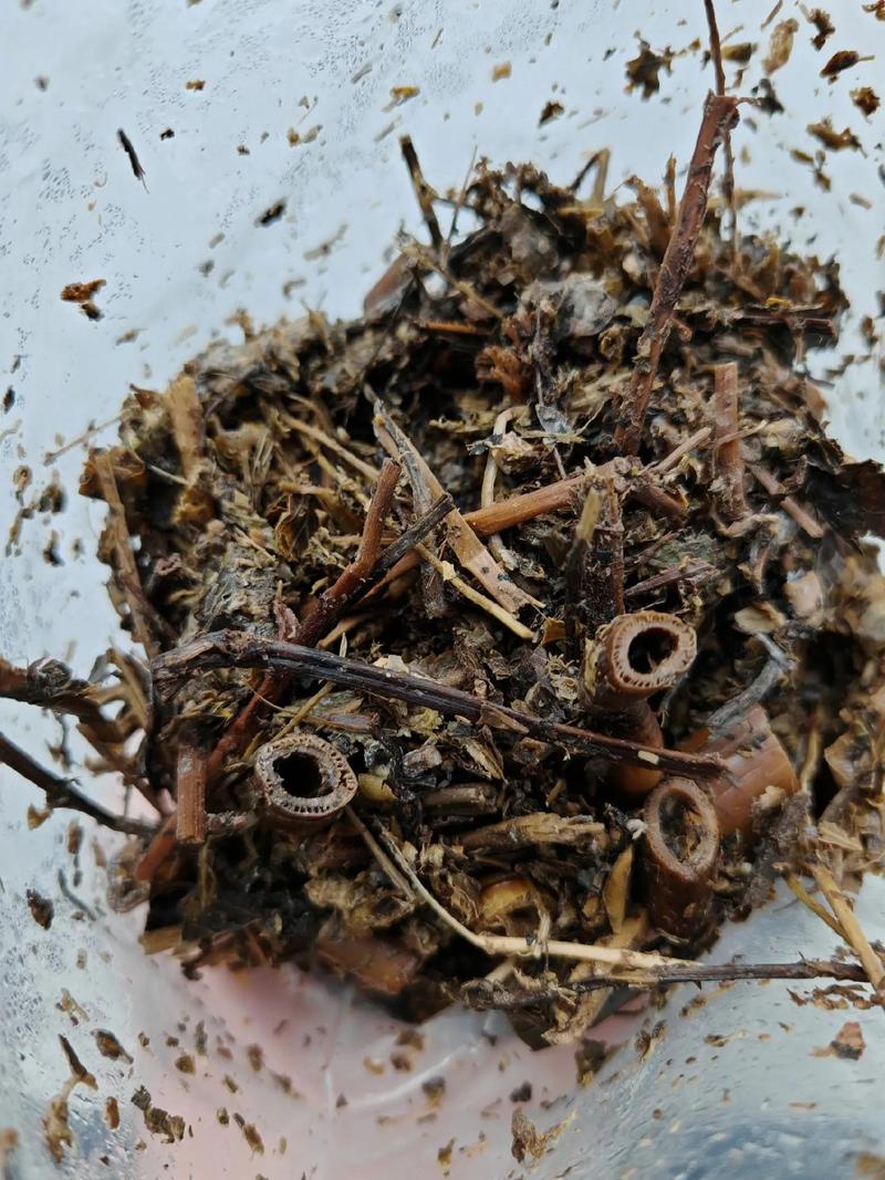 木头渣子竟是养花宝贝，木头渣子的用途-第6张图片-优品飞百科