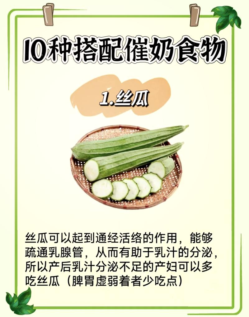 老丝瓜千万别丢，老丝瓜有什么妙用？-第3张图片-优品飞百科