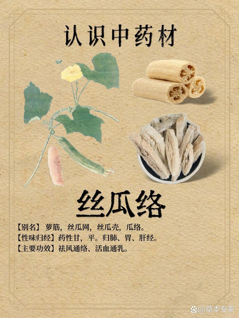 老丝瓜千万别丢，老丝瓜有什么妙用？-第4张图片-优品飞百科