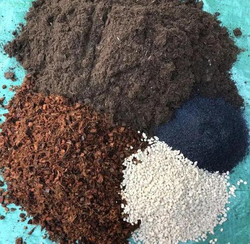 亚蜡木砍头方法，蜡木有什么作用-第1张图片-优品飞百科