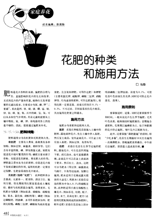 绯牡丹怎么过冬,绯牡丹怎么养?-第5张图片-优品飞百科 绯牡丹怎么过冬,绯牡丹怎么养?-第5张图片-优品飞百科