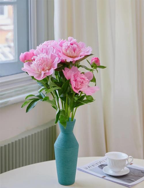 芍药怎么养才长得好,芍药花怎么养才能长好-第6张图片-优品飞百科 芍药怎么养才长得好,芍药花怎么养才能长好-第6张图片-优品飞百科