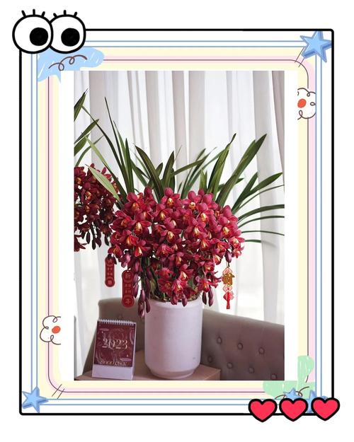 惠兰花怎么养才开花？惠兰花怎么养视频？-第3张图片-优品飞百科