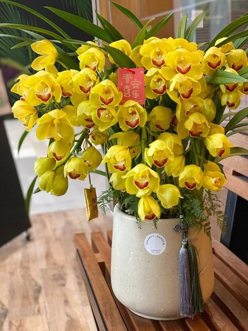 惠兰花怎么养才开花？惠兰花怎么养视频？-第4张图片-优品飞百科