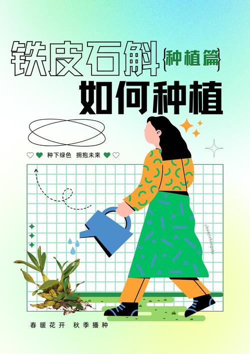 用铁皮石斛怎么繁殖？铁皮石斛的主要繁殖栽培方法？-第6张图片-优品飞百科