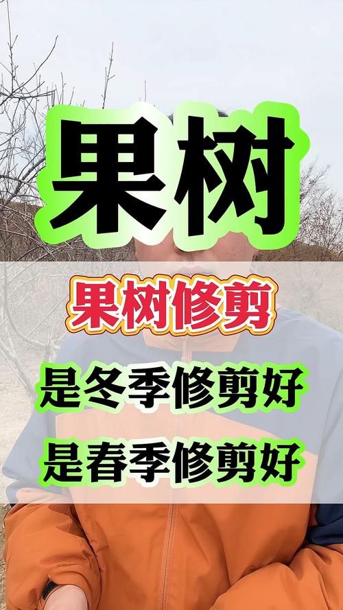 果树冬天可以移栽吗？冬天果树苗可以放几天？-第5张图片-优品飞百科