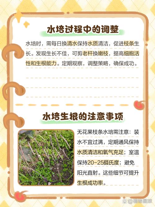 无花果水培多久生根,无花果水培多久生根发芽-第3张图片-优品飞百科 无花果水培多久生根,无花果水培多久生根发芽-第3张图片-优品飞百科