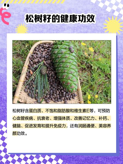 杜松种子怎么种？杜松子种植？-第2张图片-优品飞百科