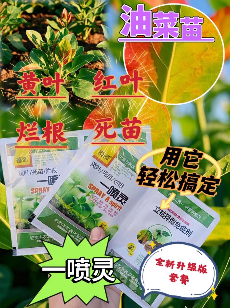 土壤板结真“愁人”，土壤板结的原因及危害？-第3张图片-优品飞百科