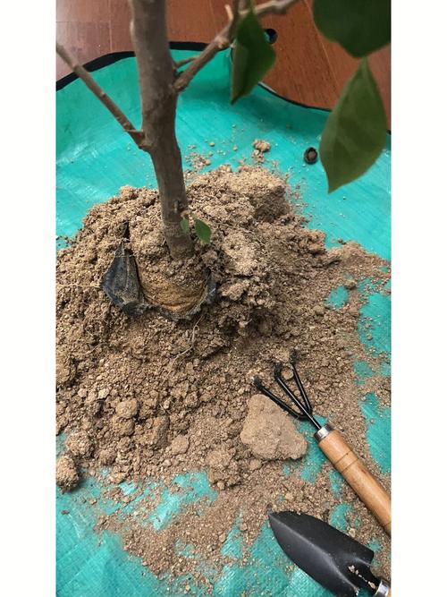 土壤板结真“愁人”，土壤板结的原因及危害？-第5张图片-优品飞百科