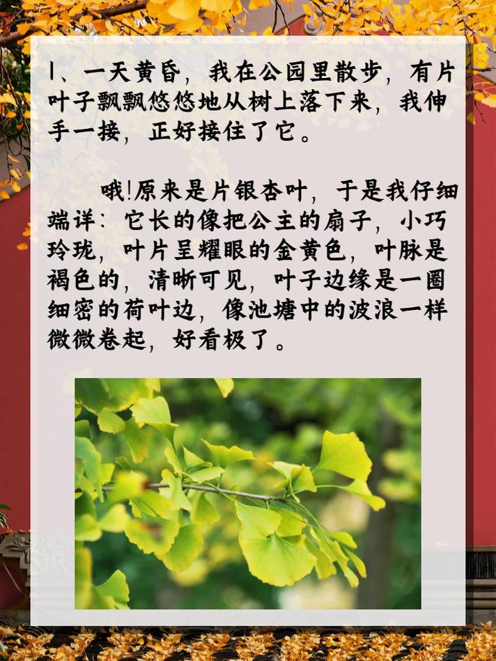 初秋赶紧给花扒层皮，秋季切花？-第3张图片-优品飞百科