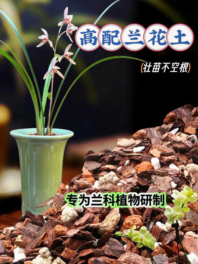 什么土适合家里养兰花,家里养兰花用什么样的土-第3张图片-优品飞百科 什么土适合家里养兰花,家里养兰花用什么样的土-第3张图片-优品飞百科