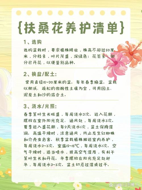 扶桑花的养殖方法？扶桑花的养殖方法扦插？-第2张图片-优品飞百科