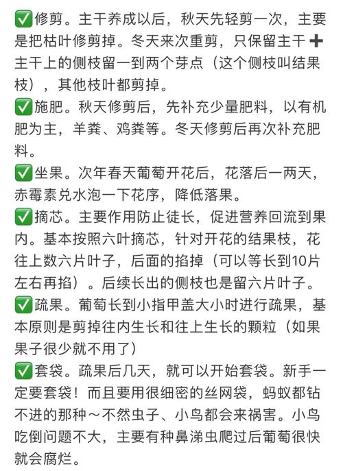如何种植葡萄,如何种植葡萄树苗-第1张图片-优品飞百科 如何种植葡萄,如何种植葡萄树苗-第1张图片-优品飞百科