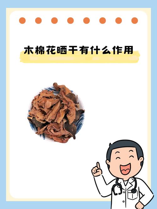 冬天养殖木棉的禁忌？冬季木棉花图片？-第3张图片-优品飞百科