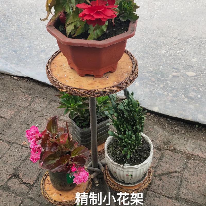 自制爬藤花架,爬藤花怎么搭架子?-第1张图片-优品飞百科 自制爬藤花架,爬藤花怎么搭架子?-第1张图片-优品飞百科