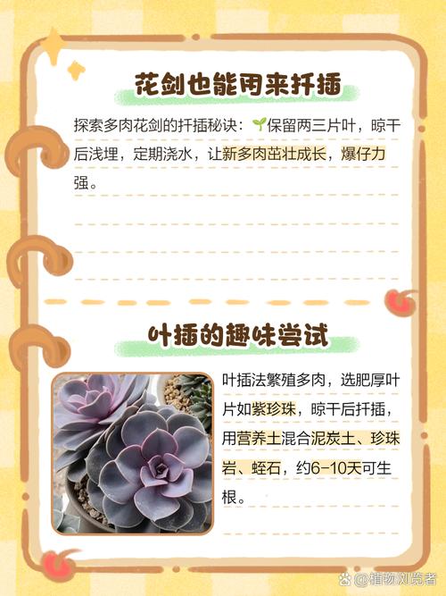 多肉断了还能活吗，多肉断了还能活吗怎么养？-第4张图片-优品飞百科