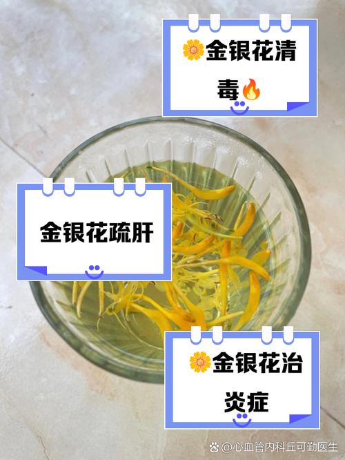 金银花扦插多长时间生根？金银花扦插成活后的移栽注意事项？-第2张图片-优品飞百科